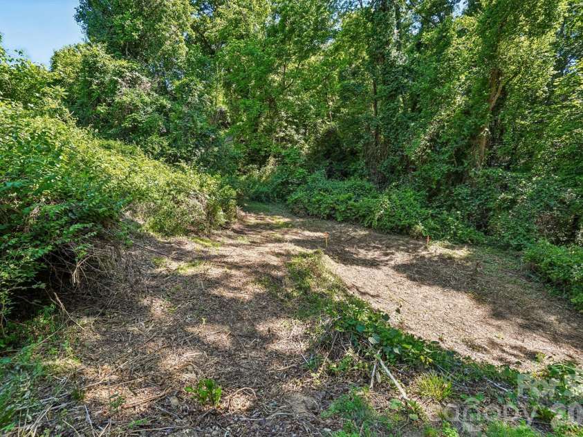 3 View Street, Asheville, NC 28803.  MLS# CAR4383178, YatesRealty ID 31991. Back yard / Extra lot