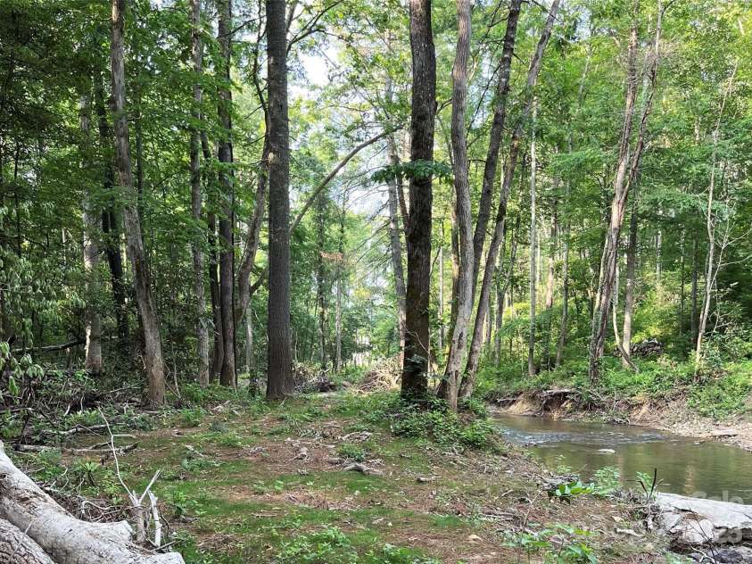 115 Chapman Drive, Asheville, NC 28805.  MLS# CAR4217914, YatesRealty ID 32039. Walk to Warren Wilson trails and secret swimming holes!