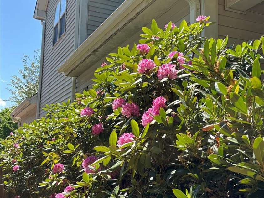 1408 Kenton Lane, Asheville, NC 28803.  MLS# CAR4390705, YatesRealty ID 32055. Left side looking from front