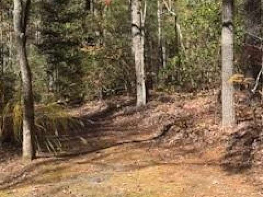 667 Pinewood Knoll Drive, Hendersonville, NC 28739.  MLS# CAR4319035, YatesRealty ID 321. 