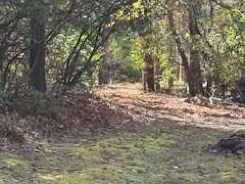 667 Pinewood Knoll Drive, Hendersonville, NC 28739.  MLS# CAR4319035, YatesRealty ID 321. 