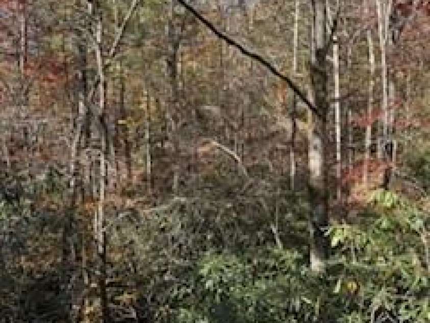 667 Pinewood Knoll Drive, Hendersonville, NC 28739.  MLS# CAR4319035, YatesRealty ID 321. 