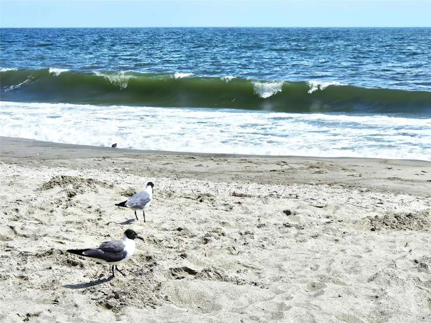 281 Brunswick Avenue, Holden Beach, NC 28462.  MLS# CAR4289276, YatesRealty ID 32135. Excellent Swimming  Beach!