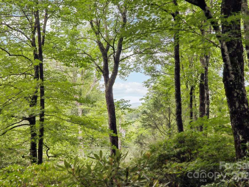 19 High Terrain Drive, Burnsville, NC 28714.  MLS# CAR4292029, YatesRealty ID 32157. 