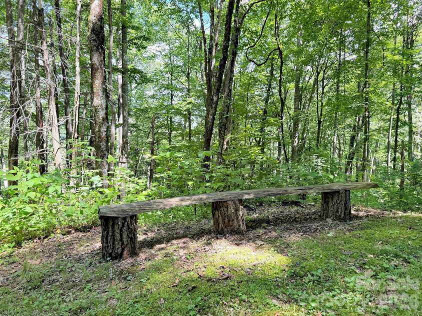 85 Lady Slipper Trail, Hot Springs, NC 28743.  MLS# CAR4391131, YatesRealty ID 32172. 