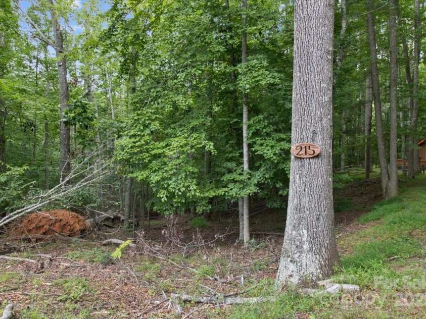 215 Byrd Mountain Estates Road, Burnsville, NC 28714.  MLS# CAR4288272, YatesRealty ID 32183. 
