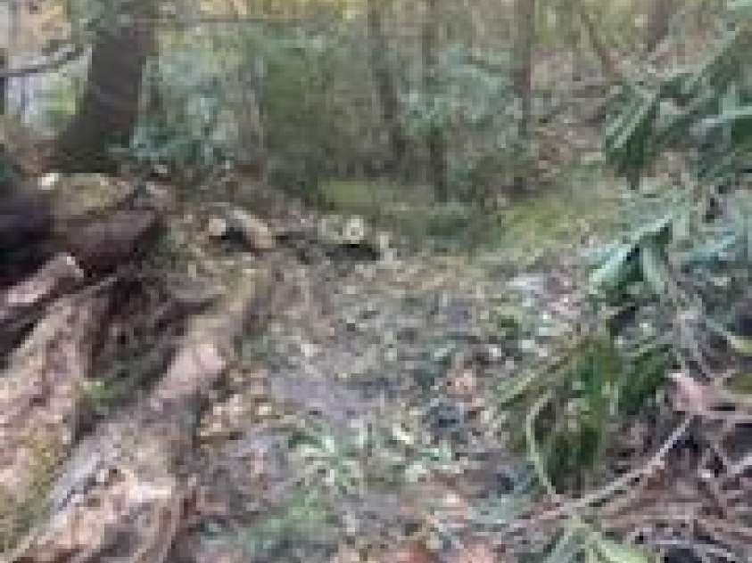 530 Rebel Ridge Road, Marshall, NC 28753.  MLS# CAR4280737, YatesRealty ID 32197. 