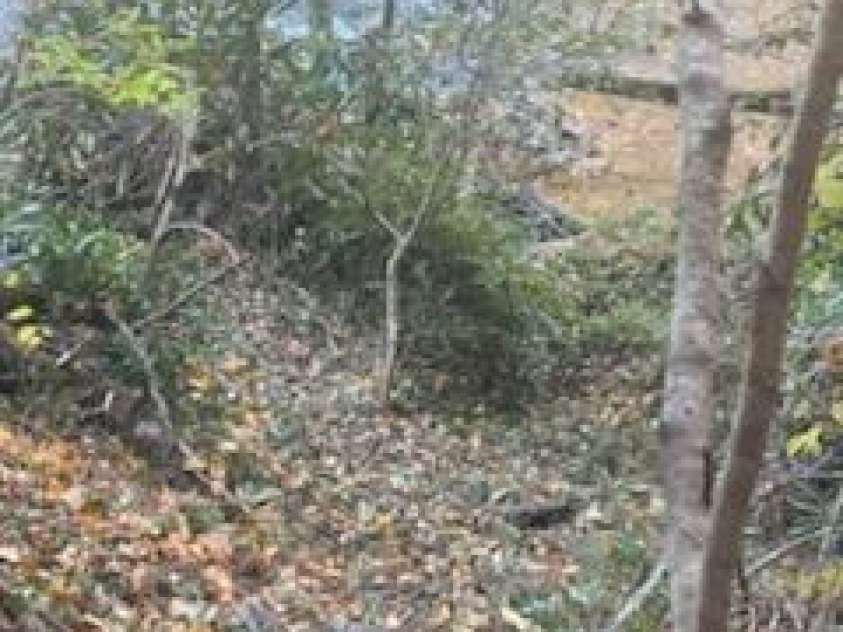 530 Rebel Ridge Road, Marshall, NC 28753.  MLS# CAR4280737, YatesRealty ID 32197. Almost there, Big Laurel Creek in distance