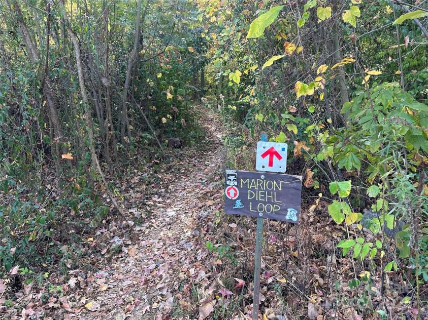 1314 Cortland Road, Charlotte, NC 28209.  MLS# CAR4318253, YatesRealty ID 322. Mountain Bike and hiking trails for many, many miles start at the neighborhood