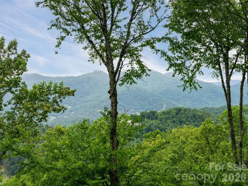 29 Elk Ridge Drive, Asheville, NC 28804.  MLS# CAR4381856, YatesRealty ID 32244. 
