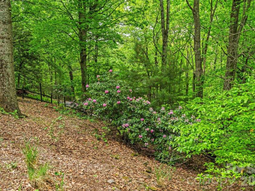 58 Sourwood Drive, Mills River, NC 28759.  MLS# CAR4390836, YatesRealty ID 32251. Rear yard