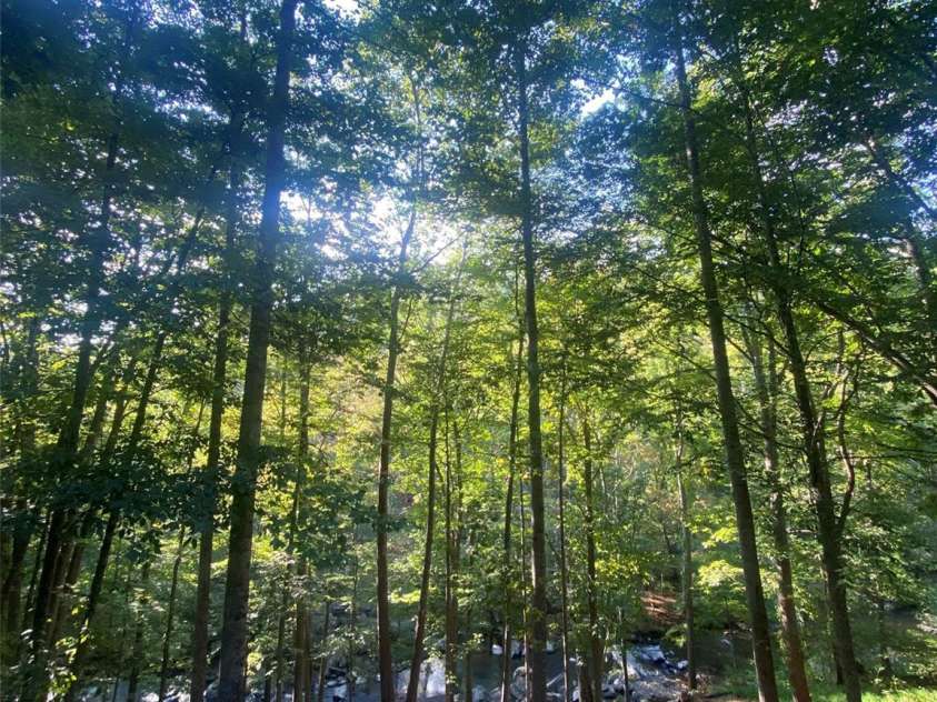 39 Rogers Creek Drive, Bakersville, NC 28705.  MLS# CAR4396215, YatesRealty ID 32262. 