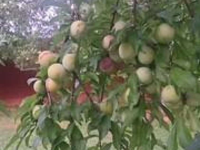 3391 Asbury Road, Mount Airy, NC 27030.  MLS# CAR4331556, YatesRealty ID 3228. 