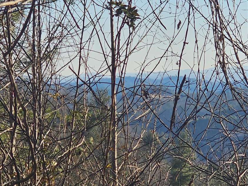 1820 Grapevine Road, Marshall, NC 28753.  MLS# CAR4219221, YatesRealty ID 3230. 30+ mile views