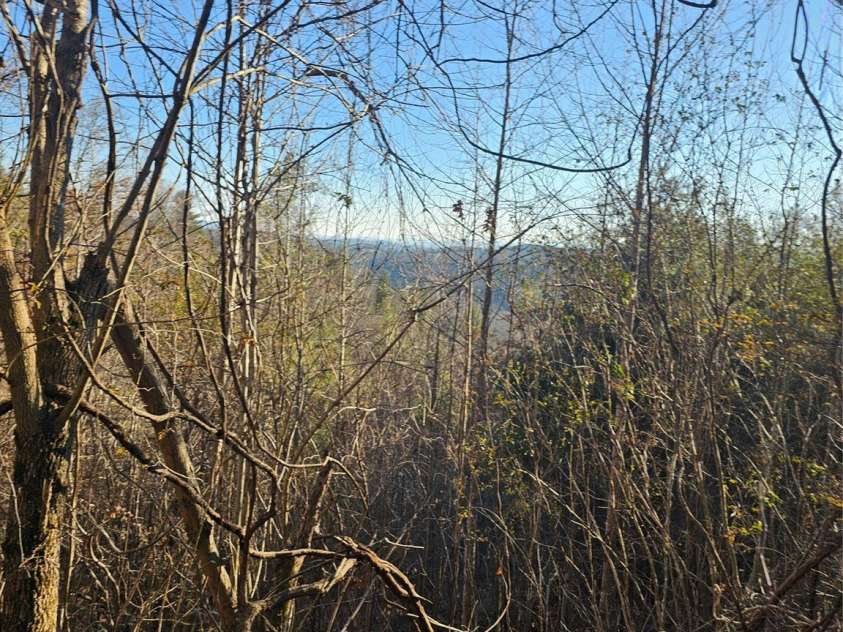 1820 Grapevine Road, Marshall, NC 28753.  MLS# CAR4219221, YatesRealty ID 3230. Big views from upper house seat