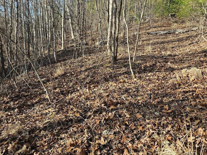 1820 Grapevine Road, Marshall, NC 28753.  MLS# CAR4219221, YatesRealty ID 3230. House seat midway up the property