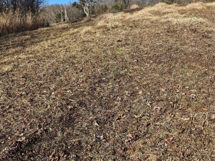 1820 Grapevine Road, Marshall, NC 28753.  MLS# CAR4219221, YatesRealty ID 3230. Lower house seat on cleared land