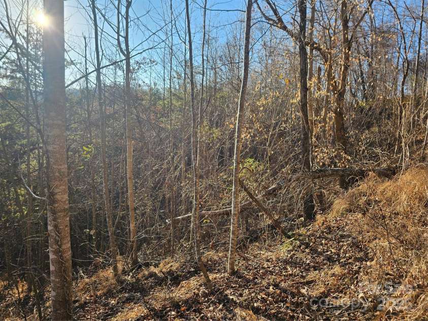 1820 Grapevine Road, Marshall, NC 28753.  MLS# CAR4219221, YatesRealty ID 3230. Ridge views