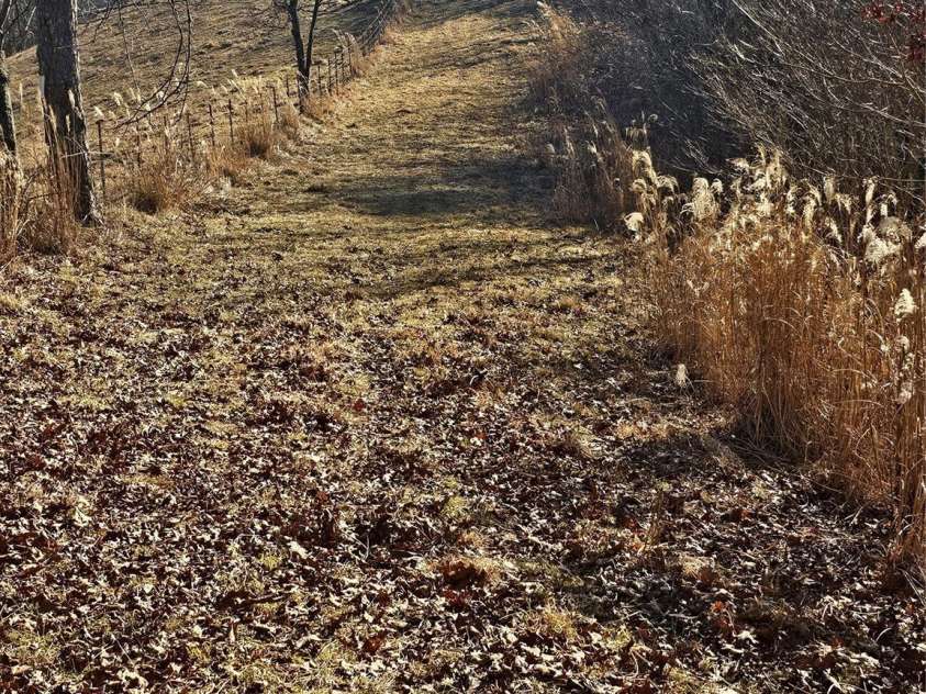 1820 Grapevine Road, Marshall, NC 28753.  MLS# CAR4219221, YatesRealty ID 3230. Trail along the fence leading to lower seat