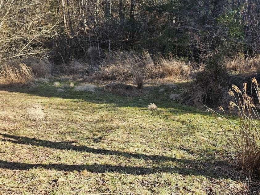 1820 Grapevine Road, Marshall, NC 28753.  MLS# CAR4219221, YatesRealty ID 3230. Trail from Barn to homesites