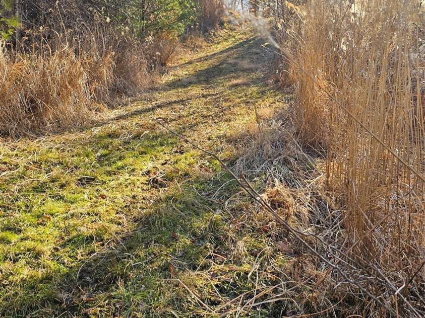 1820 Grapevine Road, Marshall, NC 28753.  MLS# CAR4219221, YatesRealty ID 3230. Trail from home to barn