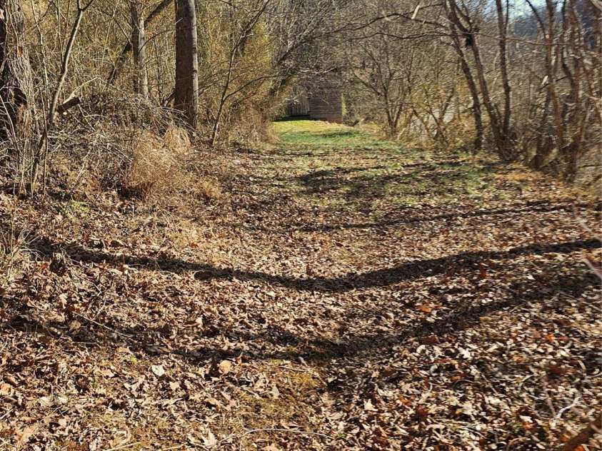 1820 Grapevine Road, Marshall, NC 28753.  MLS# CAR4219221, YatesRealty ID 3230. Trail from house to barn