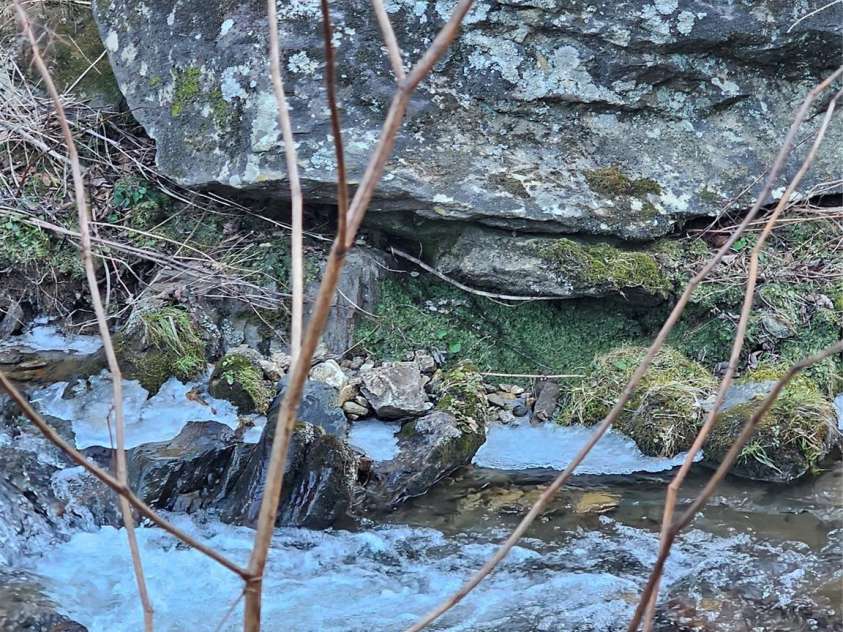 1820 Grapevine Road, Marshall, NC 28753.  MLS# CAR4219221, YatesRealty ID 3230. W Bull Creek on property line