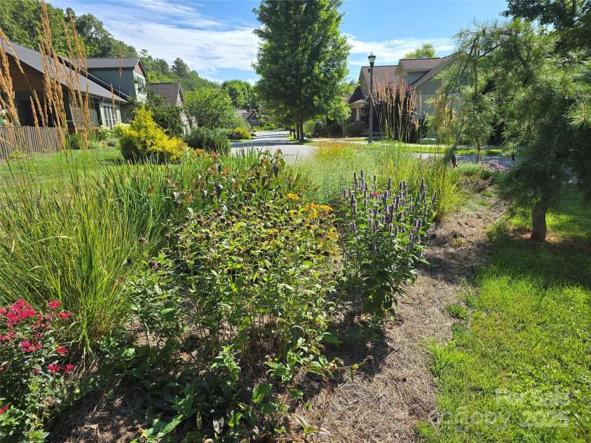 38 Pinebrook Club Drive, Asheville, NC 28804.  MLS# CAR4277289, YatesRealty ID 32321. The extensive side yard extends all the way to the neighbor's house