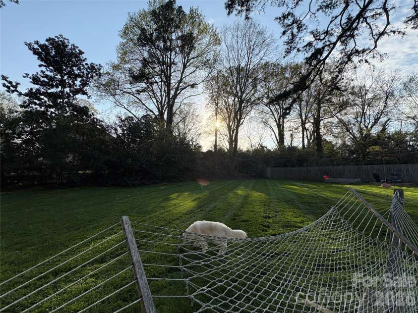 4124 Randolph Road, Charlotte, NC 28211.  MLS# CAR4396577, YatesRealty ID 32343. 