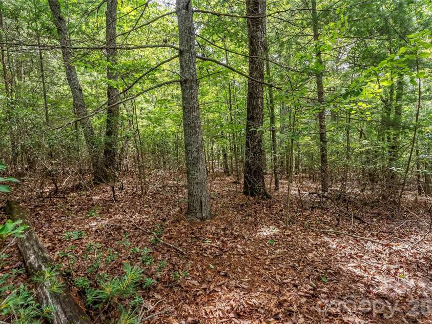 2040 Hampson Road, Morganton, NC 28655.  MLS# CAR4393978, YatesRealty ID 32390. 