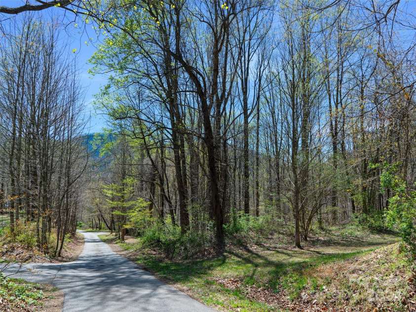 00 Lovebird Lane, Candler, NC 28715.  MLS# CAR4206733, YatesRealty ID 325. 