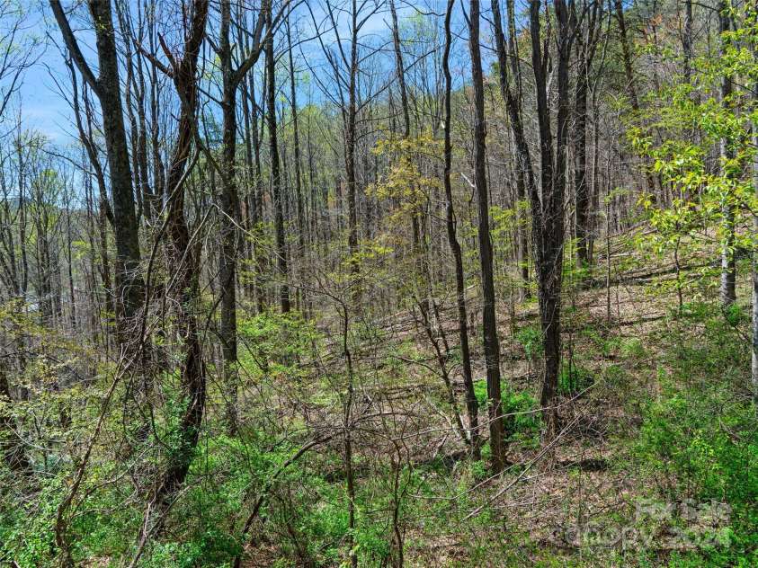 00 Lovebird Lane, Candler, NC 28715.  MLS# CAR4206733, YatesRealty ID 325. 