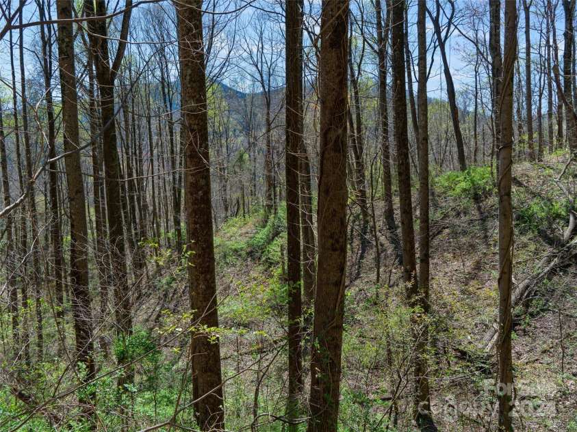 00 Lovebird Lane, Candler, NC 28715.  MLS# CAR4206733, YatesRealty ID 325. 