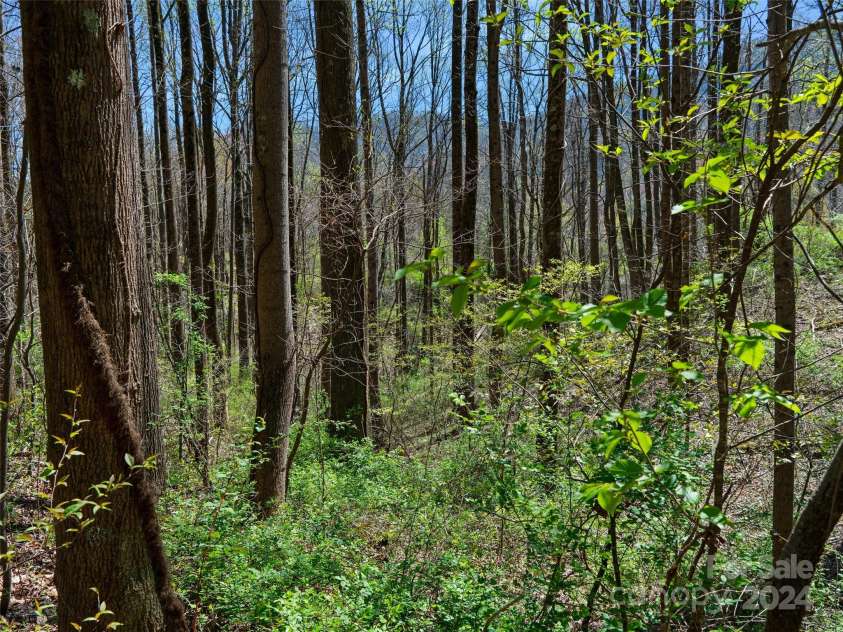 00 Lovebird Lane, Candler, NC 28715.  MLS# CAR4206733, YatesRealty ID 325. 