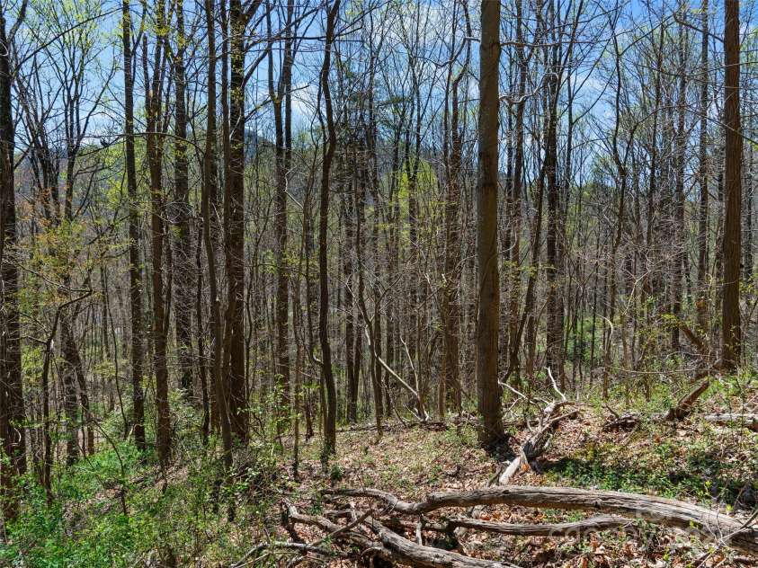 00 Lovebird Lane, Candler, NC 28715.  MLS# CAR4206733, YatesRealty ID 325. 