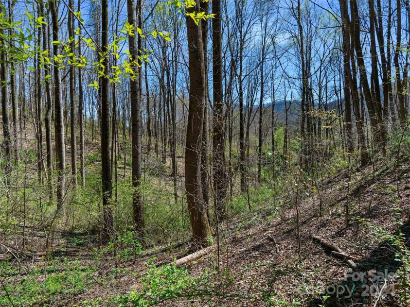 00 Lovebird Lane, Candler, NC 28715.  MLS# CAR4206733, YatesRealty ID 325. 