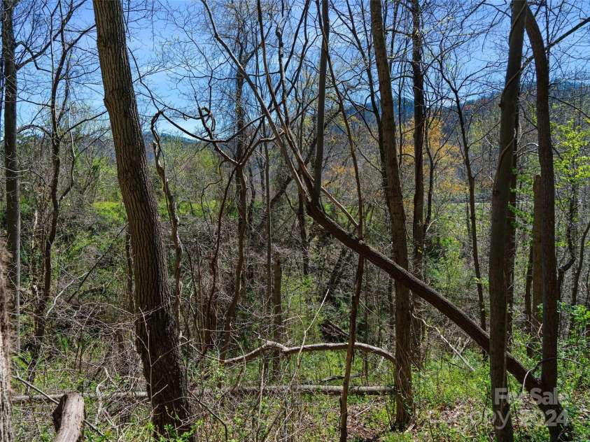 00 Lovebird Lane, Candler, NC 28715.  MLS# CAR4206733, YatesRealty ID 325. 