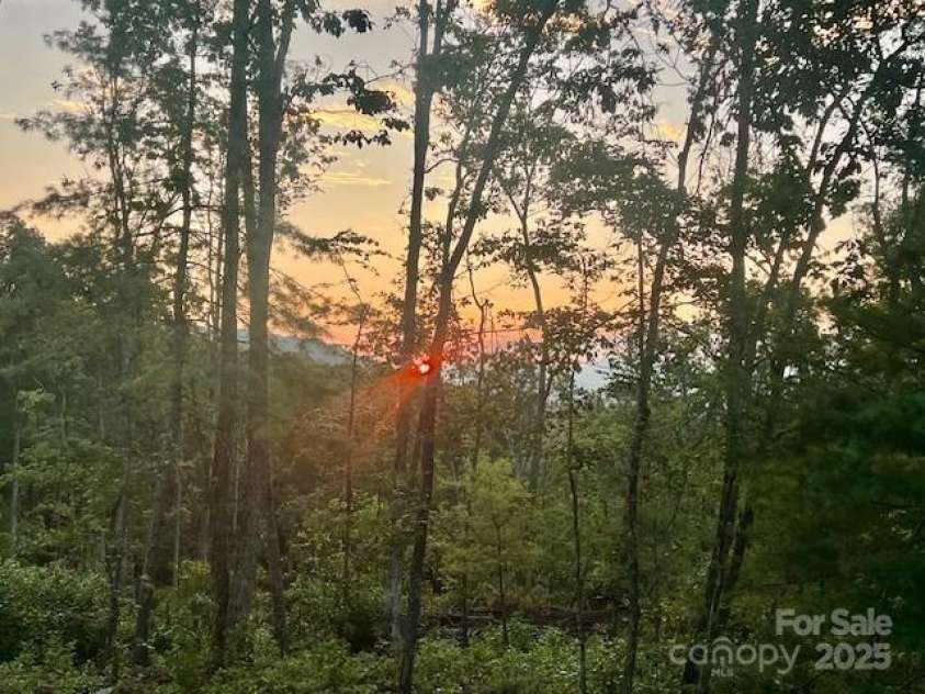 446 Charming Lane, Hendersonville, NC 28792.  MLS# CAR4287765, YatesRealty ID 32506. Enchanting Sunrise with Mountain Views from the Back Porch