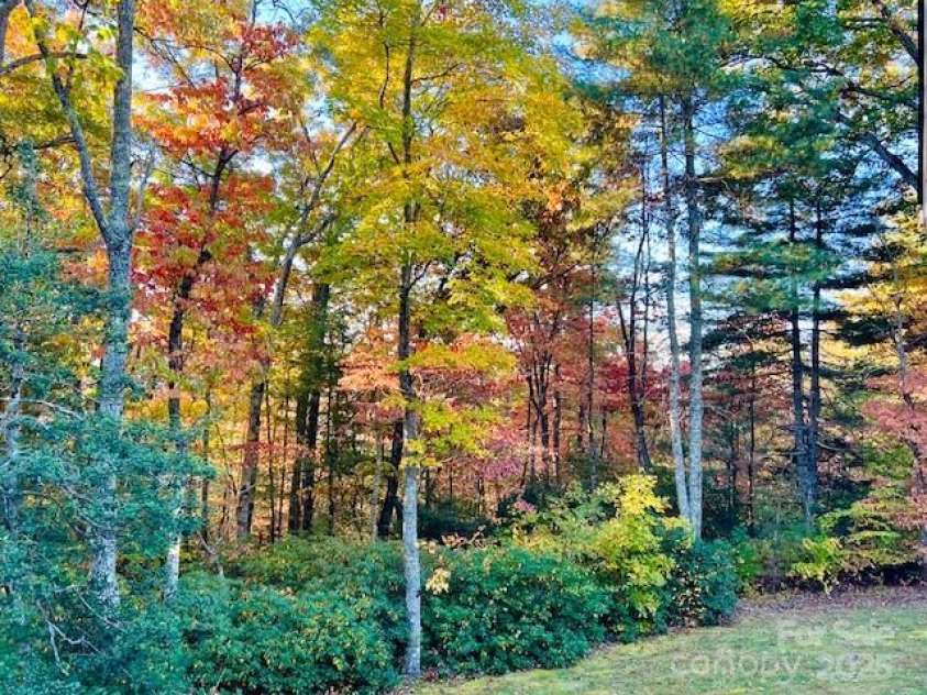 446 Charming Lane, Hendersonville, NC 28792.  MLS# CAR4287765, YatesRealty ID 32506. Fall at 446 Charming Lane