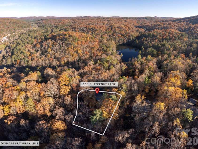 250 Butternut Lane, Brevard, NC 28712.  MLS# CAR4316894, YatesRealty ID 3256. Aerial View