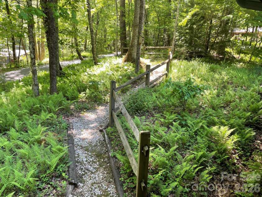 250 Butternut Lane, Brevard, NC 28712.  MLS# CAR4316894, YatesRealty ID 3256. Walkway through front yard to additional parking space