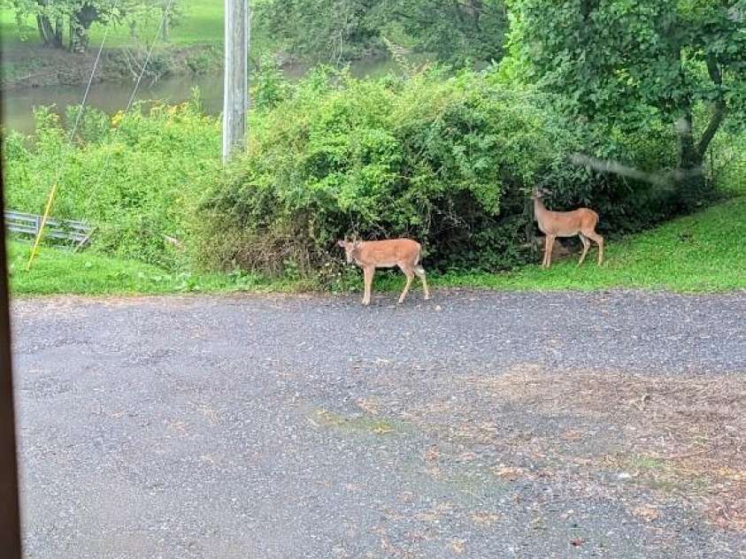 262 Lemly Road, Fleetwood, NC 28626.  MLS# CAR4292278, YatesRealty ID 32589. 