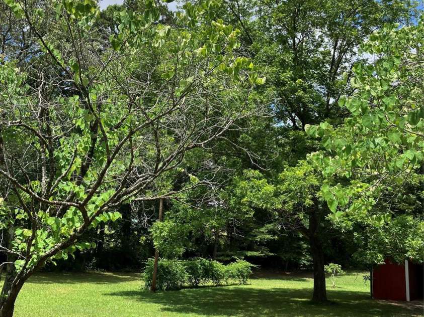 10663 Island Creek Road, Stanfield, NC 28163.  MLS# CAR4397000, YatesRealty ID 32602. 