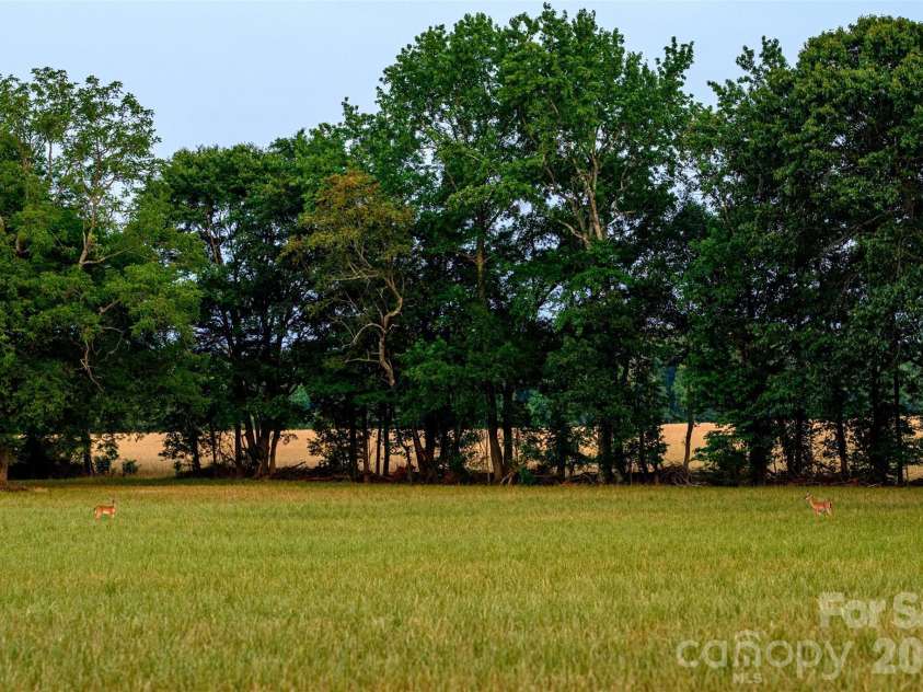 6917 Walnut Grove Church Road, Hurdle Mills, NC 27541.  MLS# CAR4397208, YatesRealty ID 32604. 