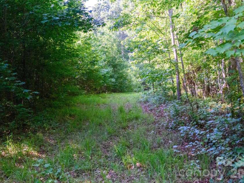 6917 Walnut Grove Church Road, Hurdle Mills, NC 27541.  MLS# CAR4397208, YatesRealty ID 32604. 