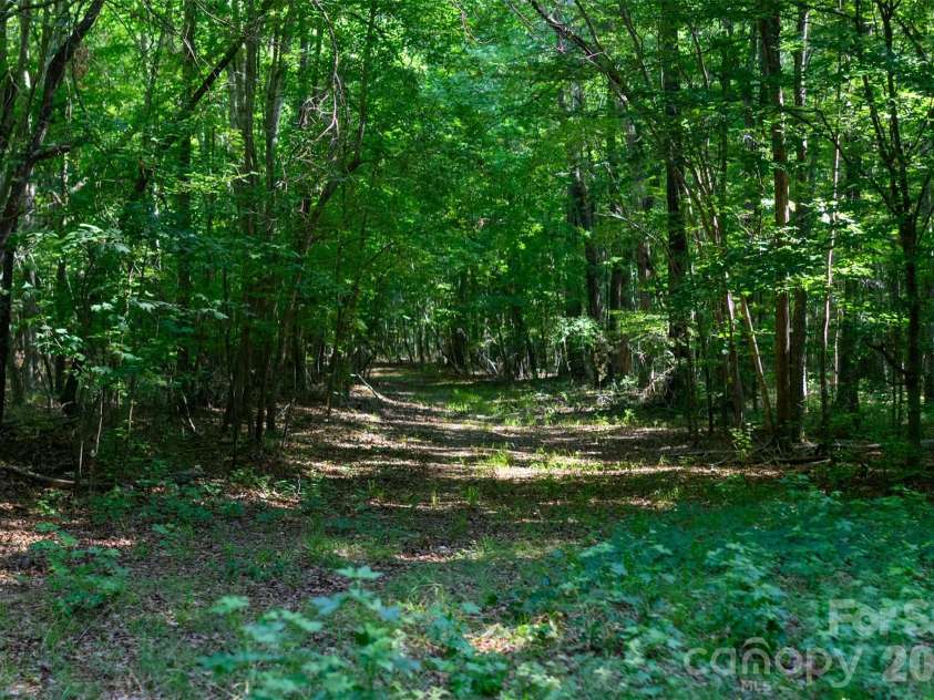 6917 Walnut Grove Church Road, Hurdle Mills, NC 27541.  MLS# CAR4397208, YatesRealty ID 32604. 