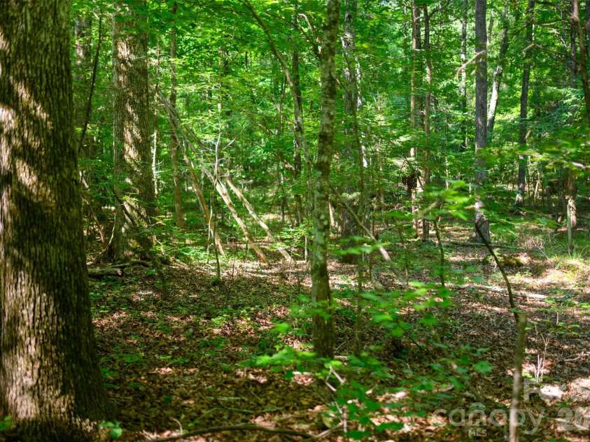 6917 Walnut Grove Church Road, Hurdle Mills, NC 27541.  MLS# CAR4397208, YatesRealty ID 32604. 