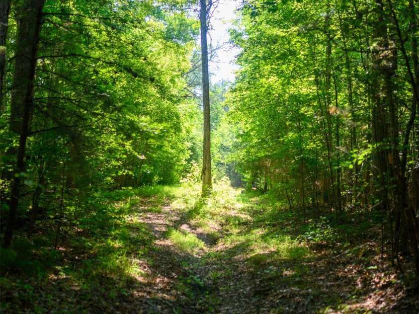 6917 Walnut Grove Church Road, Hurdle Mills, NC 27541.  MLS# CAR4397208, YatesRealty ID 32604. 