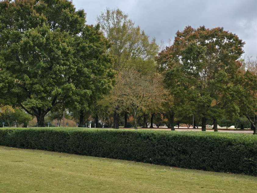 7 15th Vantage Street, Campobello, SC 29322.  MLS# CAR4293009, YatesRealty ID 32652. 