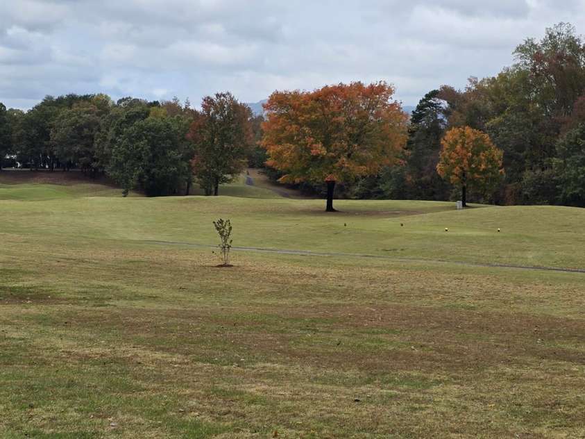 7 15th Vantage Street, Campobello, SC 29322.  MLS# CAR4293009, YatesRealty ID 32652. 